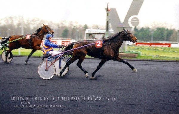 Klikk for  vise bildet i full strrelse