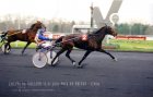 Lolita du Gollier 15 janvier 2004 Vincennes.jpg