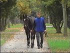 Liver Song - Haras des Chartreux 2008   6.jpg