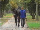 Liver Song - Haras des Chartreux 2008   6.jpg