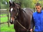 Liver Song - Haras des Chartreux 2008   73.jpg