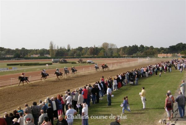 Cliquez pour voir l'image en taille relle