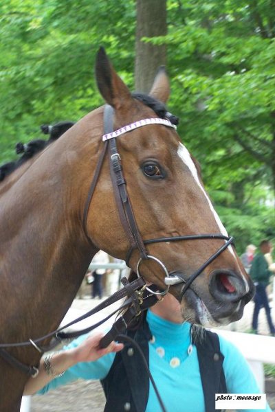Klicken fr Bild in voller Gre