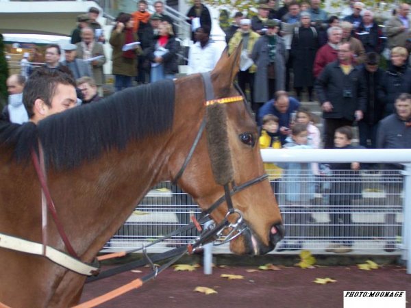 Klicken fr Bild in voller Gre