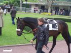 Auteuil-Longchamp 14&16-05-10 012.jpg