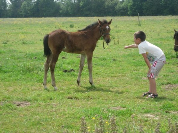 Klicken fr Bild in voller Gre