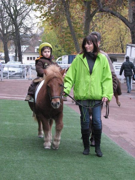 kliknte pro zobrazen pvodnho obrzku