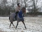 PETIT TROT POUR SE RECHAUFFER - 13.02.10 036.JPG