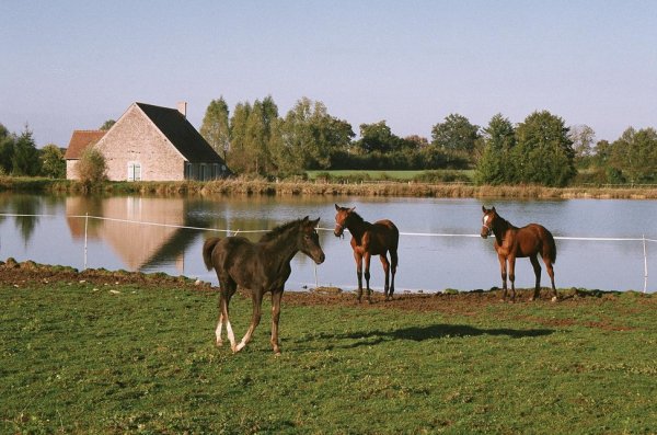 Klik op de foto om originele grootte te bekijken