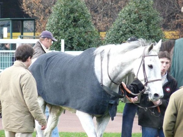 Cliquez pour voir l'image en taille relle