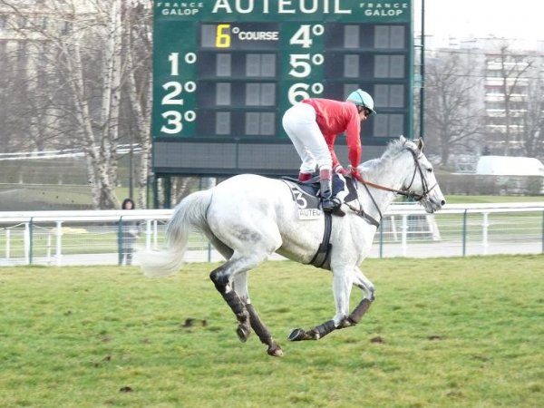 Klicken fr Bild in voller Gre