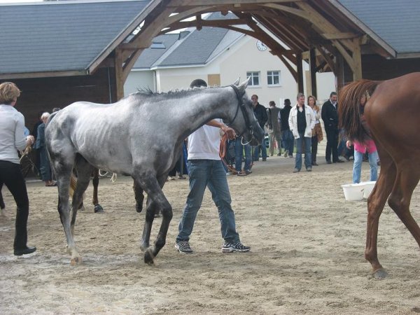 Klicken fr Bild in voller Gre