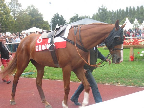 Cliquez pour voir l'image en taille relle