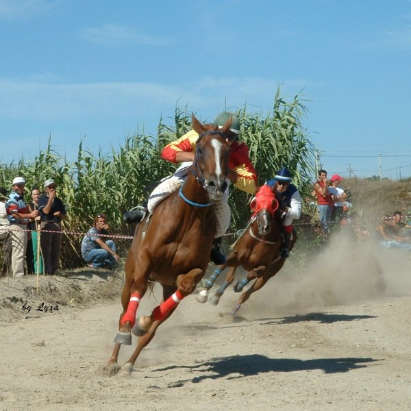 Klicken fr Bild in voller Gre