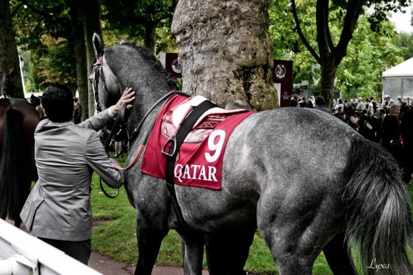 Cliquez pour voir l'image en taille relle