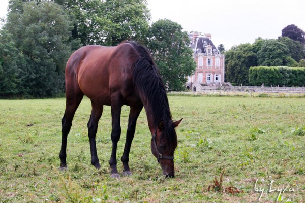 Klicken fr Bild in voller Gre