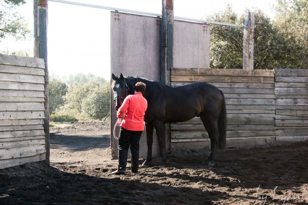 Klicken fr Bild in voller Gre