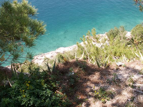 PICT0109.JPG