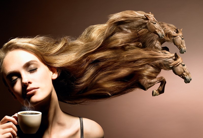 cheveux ou chevaux!.jpg