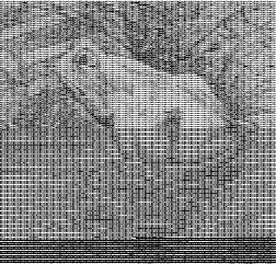 grenouille ou cheval!.gif
