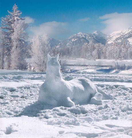 Cheval en glace.jpg