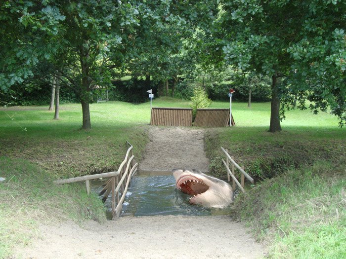 Pourquoi les chevaux n'aiment ils pas l'eau.....jpg