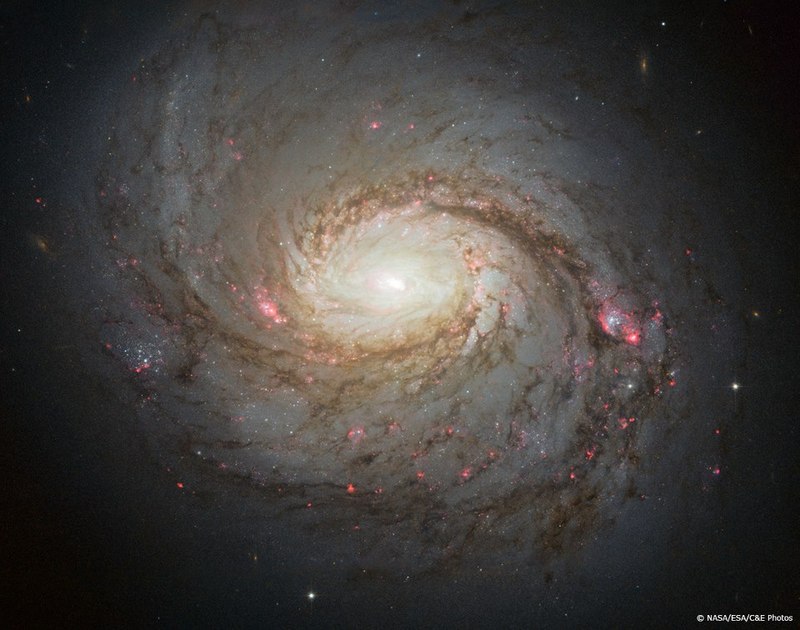 M 77.jpg