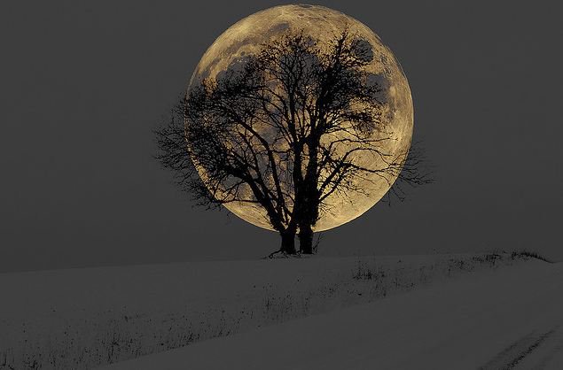 Full Moon.....jpg