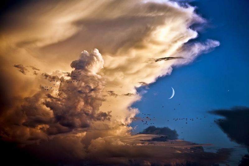Clouds, Birds, Moon, Venus.jpg