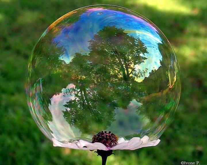 La bulle du monde.jpg