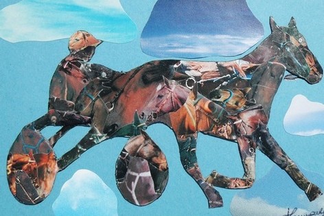 T5.JPG