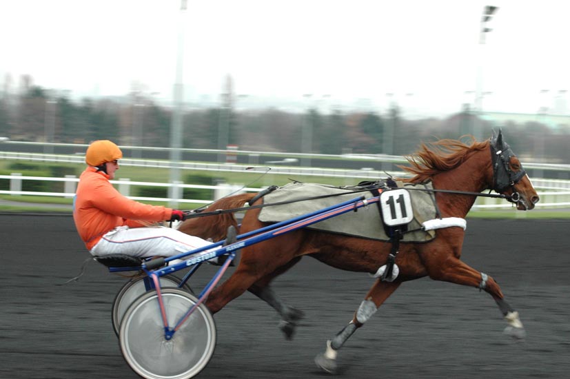 vincennes 07-12-04 028b.jpg