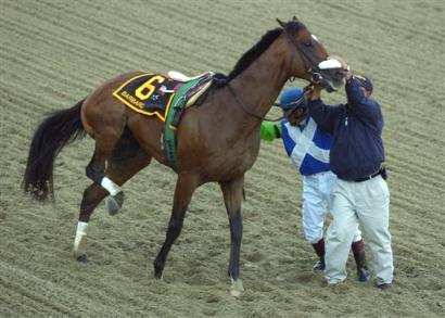 barbaro-preakness-2006.jpg