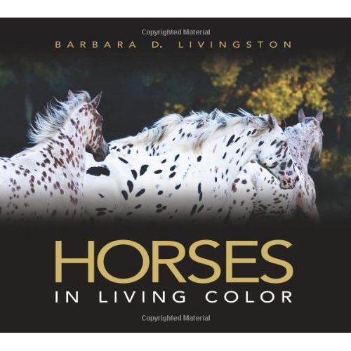 horses.jpg