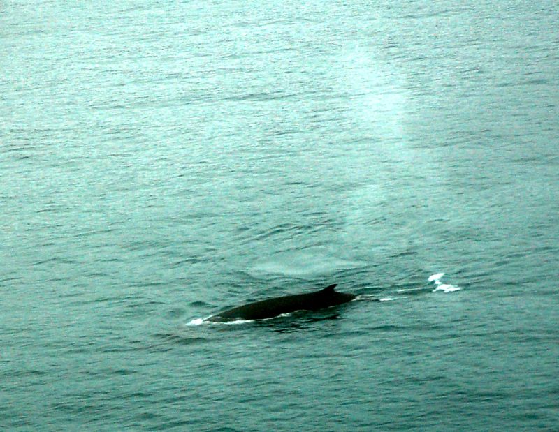 alaska_0282.jpg