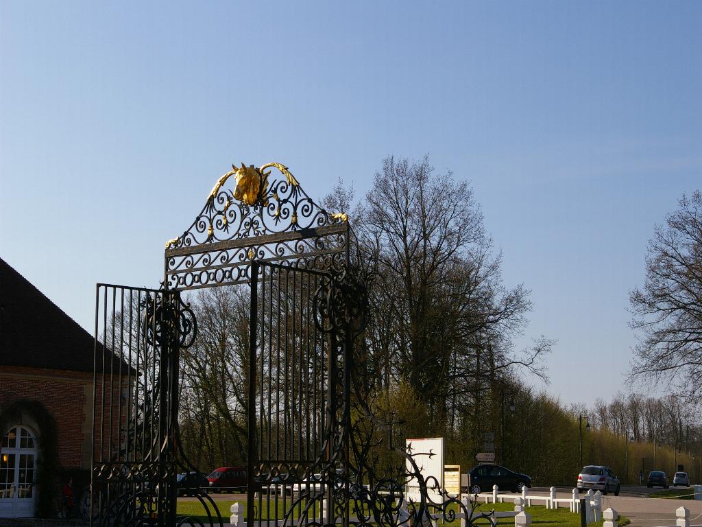 IMGP0701.JPG