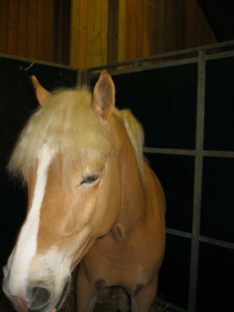 126-2607_IMG.JPG