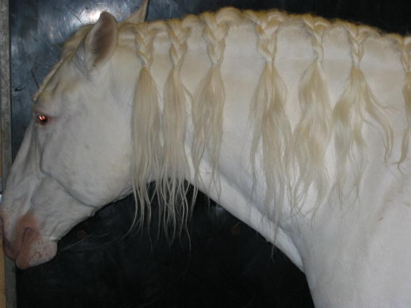 126-2619_IMG.JPG