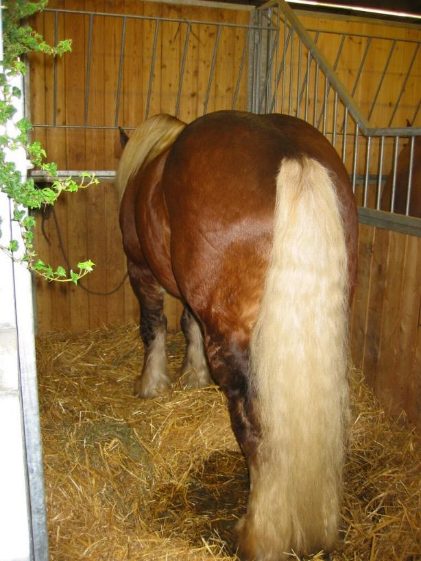 126-2629_IMG.JPG
