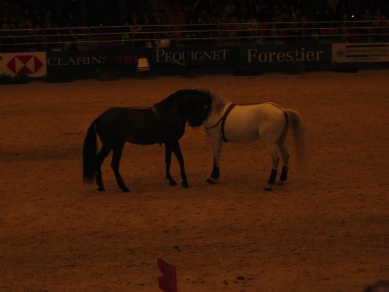126-2668_IMG.JPG