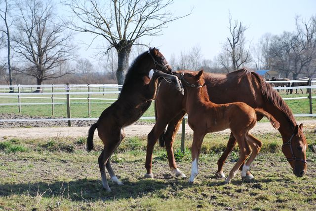 DSC_0674 [640x480].JPG
