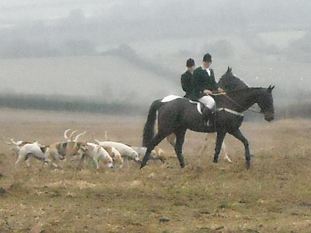 CUD Manor Farm Newton 3.jpg