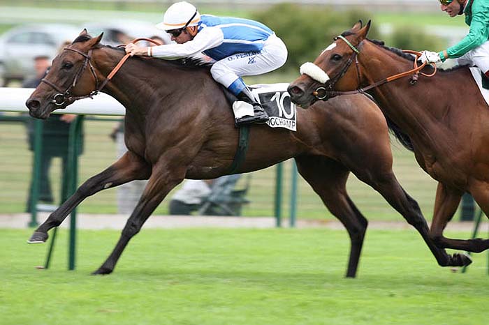 goldikova-moulin08c.jpg