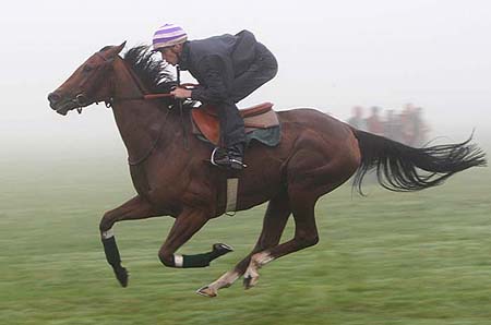 mandesha-training-arc07b.jpg