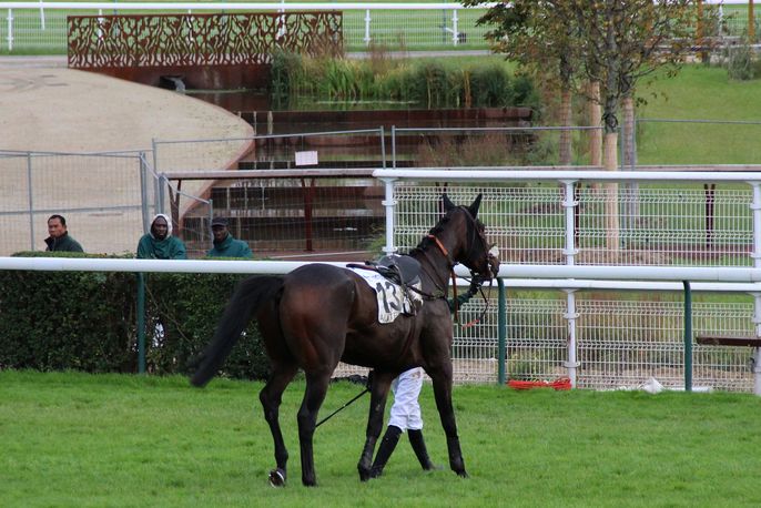 Auteuil-2-11-13 095-fc.jpg