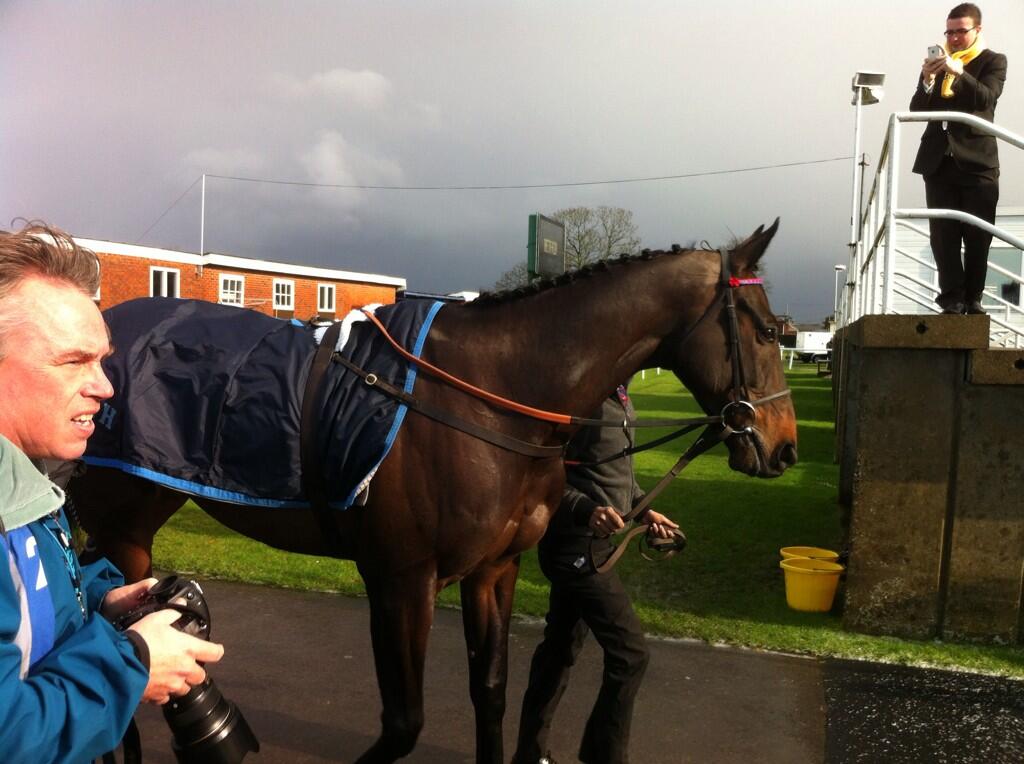 Sprinter Sacre.jpg