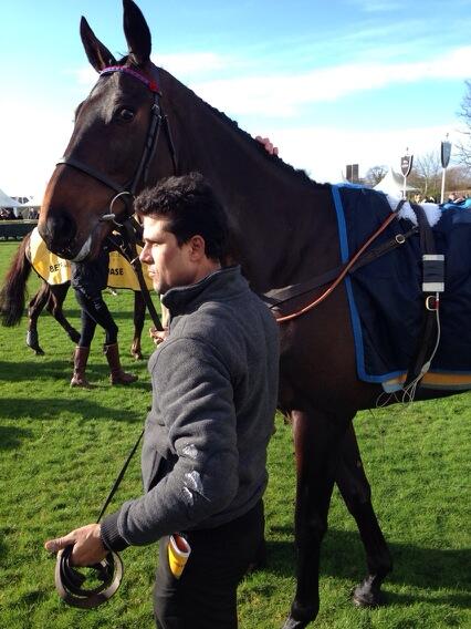 Sprinter Sacre 4.jpg