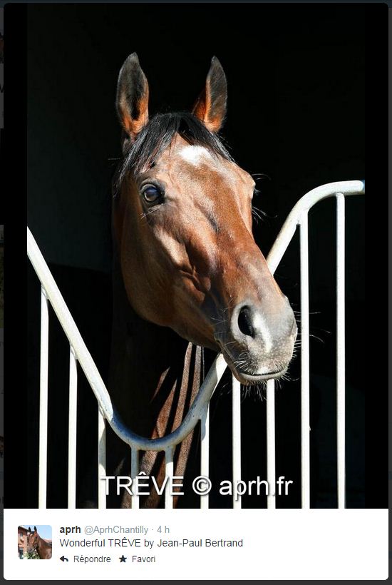 treve.JPG