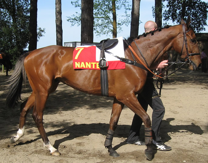 Nantes-3mai2008-Kastra.jpg