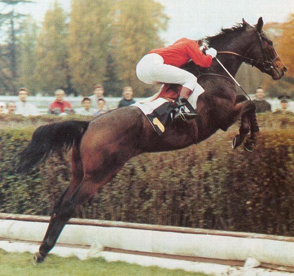 Ucello II.JPG
